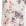 Gardenia White Spaced Wanderer Print/Gardenia White