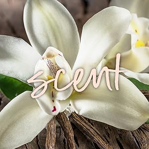 Tree Hut Vanilla scrub Scent