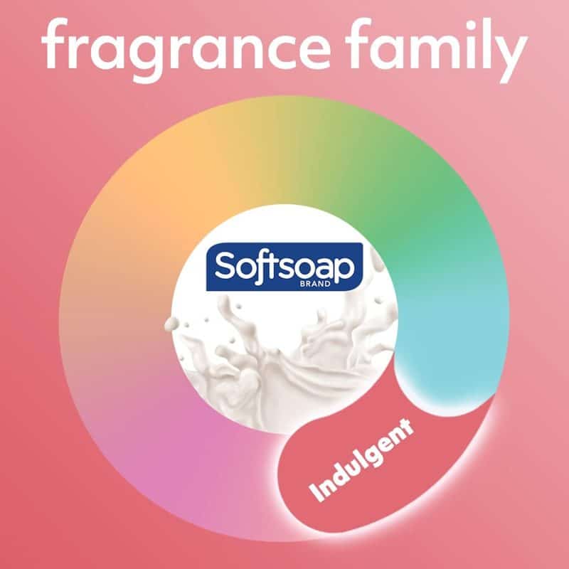 Softsoap Liquid Hand Soap - Image 32