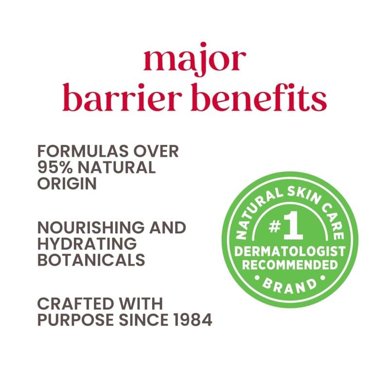 Burt's Bees Lip Balm - Image 16