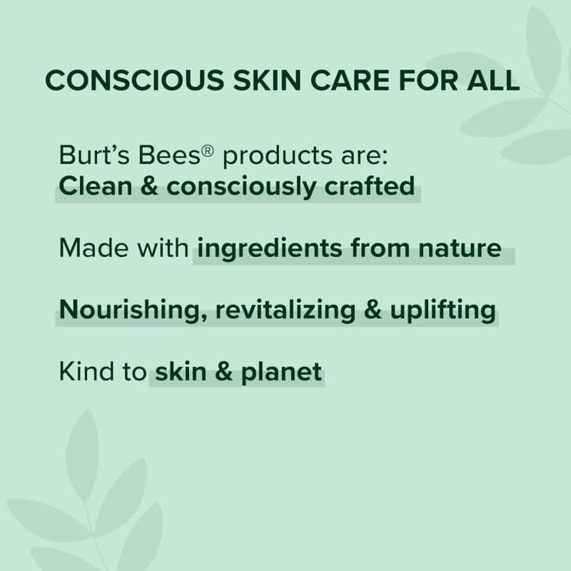 Burt's Bees Lip Balm - Image 55
