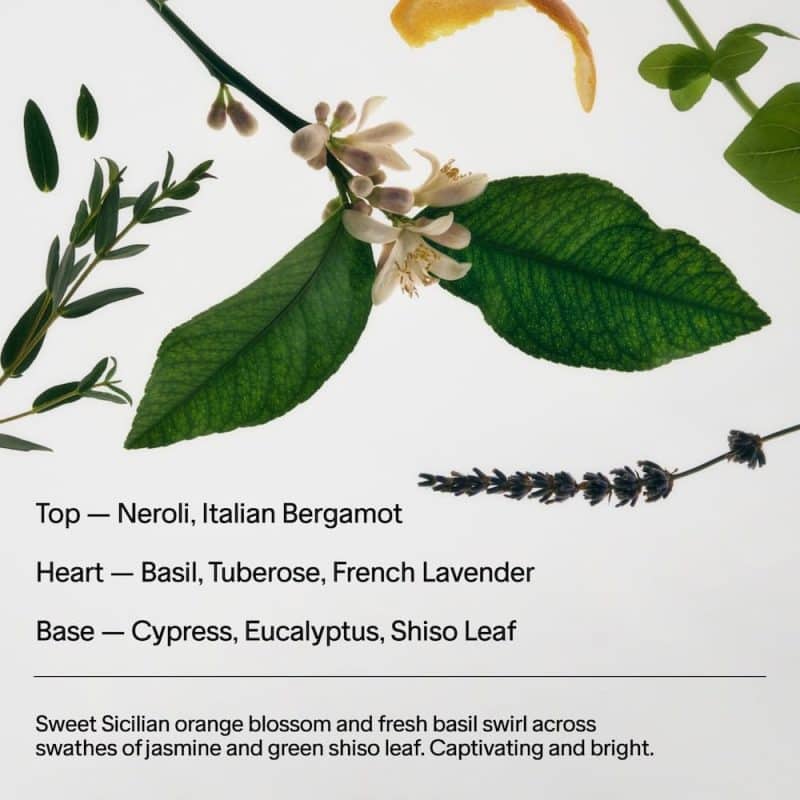 SALT & STONE Deodorant - Image 19