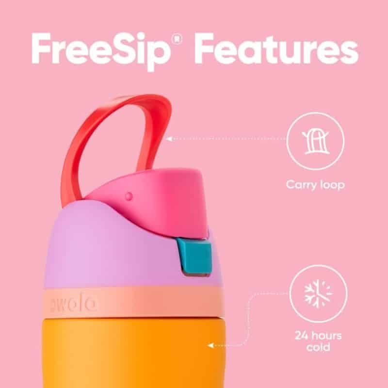 Owala FreeSip Insulated Stainless Steel Water Bottle - Image 111