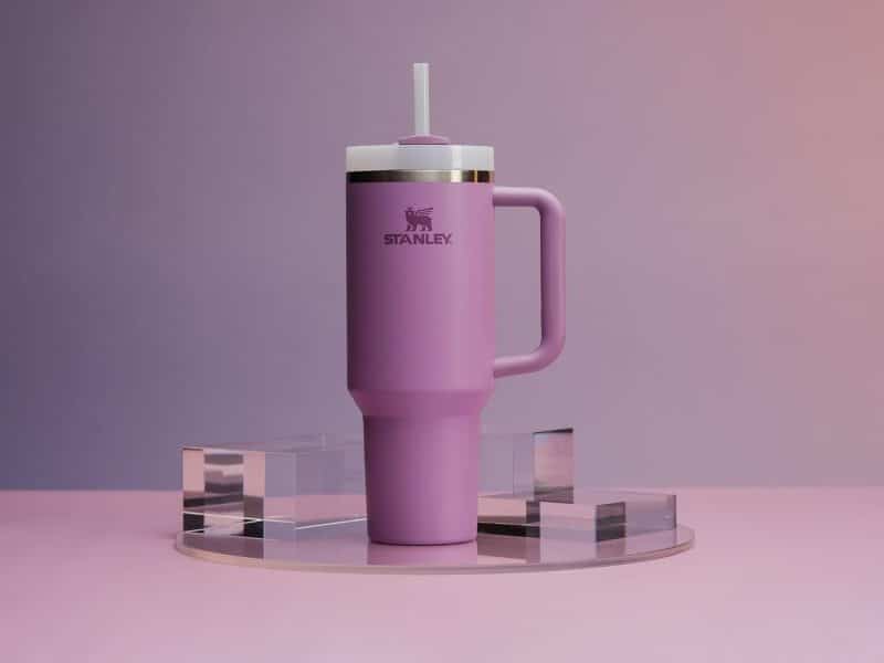 Stanley Quencher H2.0 Tumbler - Image 73