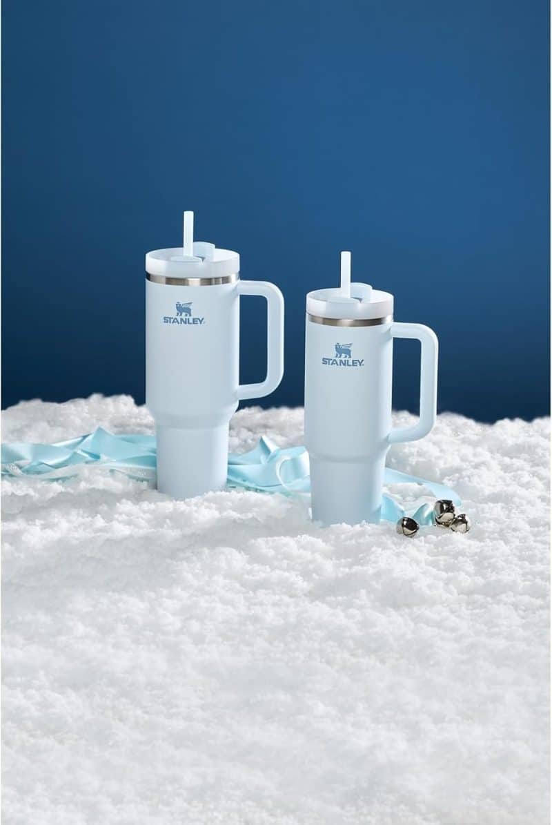 Stanley Quencher H2.0 Tumbler - Image 181