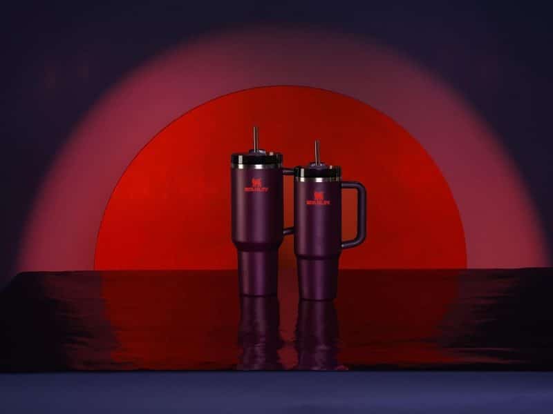 Stanley Quencher H2.0 Tumbler - Image 274