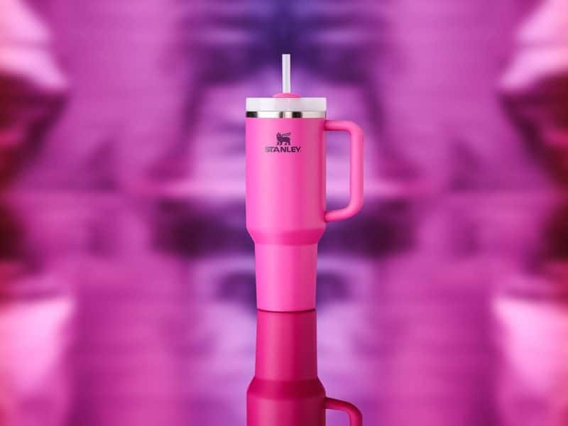 Stanley Quencher H2.0 Tumbler - Image 283