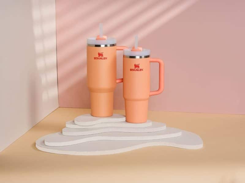 Stanley Quencher H2.0 Tumbler - Image 313