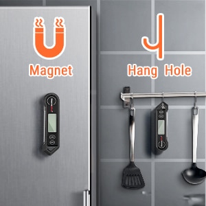 steak thermometer