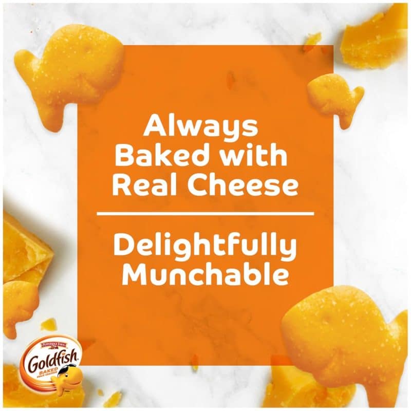 Goldfish Snack Box - Image 21