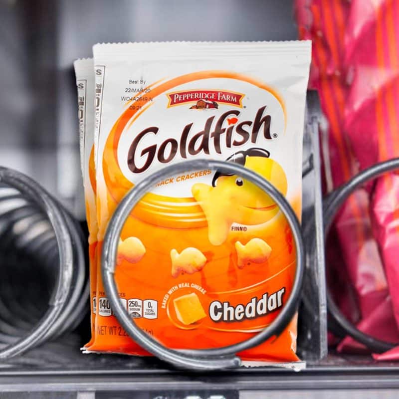 Goldfish Snack Box - Image 115