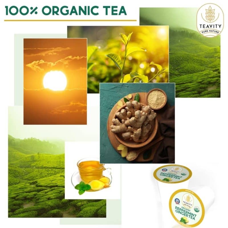 Teavity Tea Pods for Keurig - Image 239