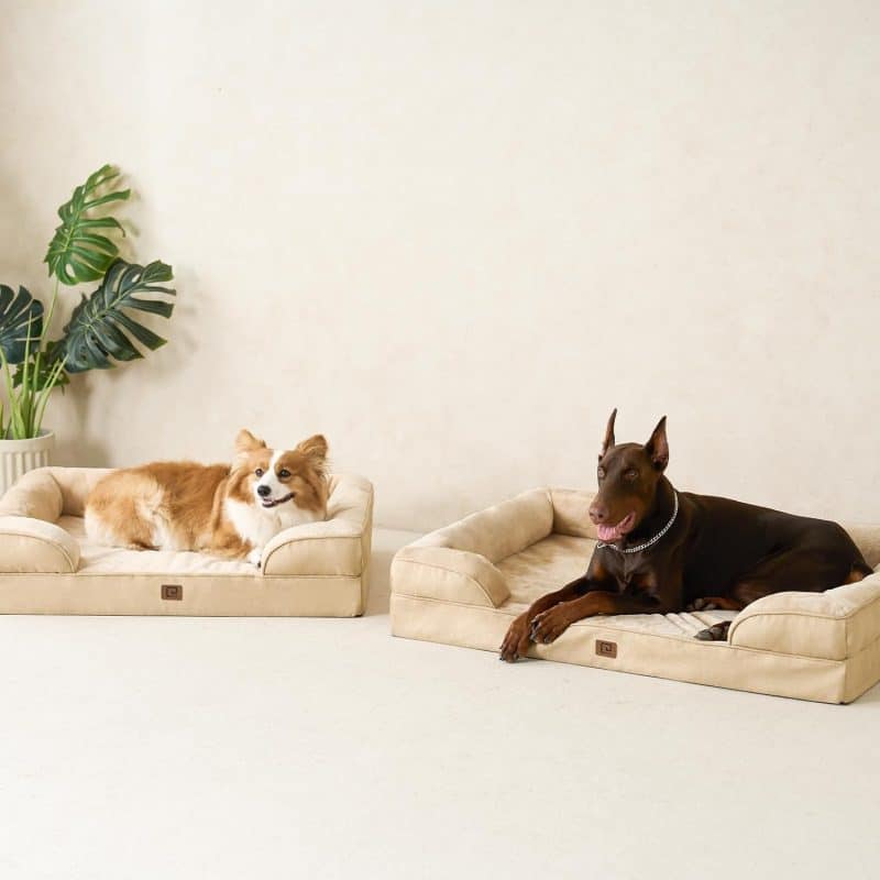 EHEYCIGA Orthopedic Dog Bed - Image 25