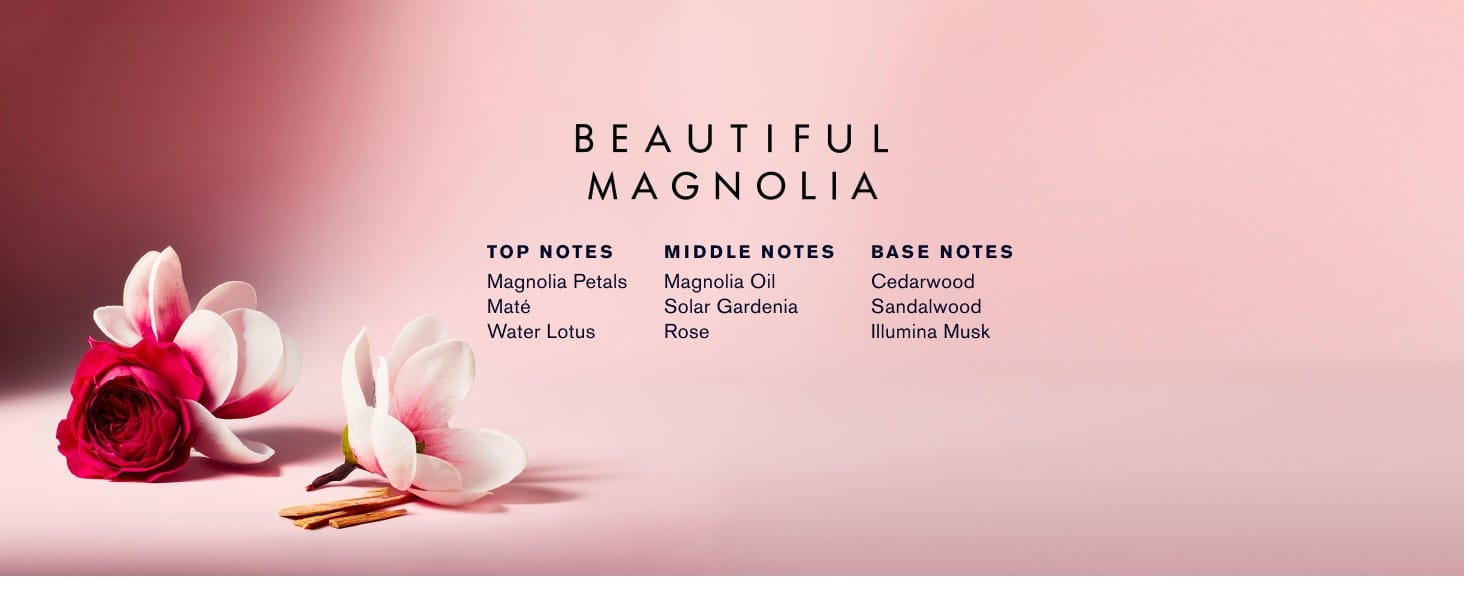 Beautiful Magnolia