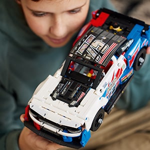 42153_Technic